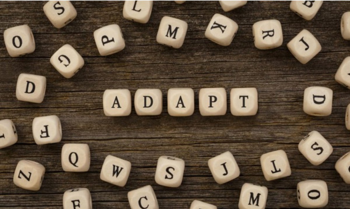 Transformation des Denkens und Handelns? – Vorstellung aktueller Interventionen (Teil IV): Uwe Schneidewind: Die große Transformation&nbsp;(2018)