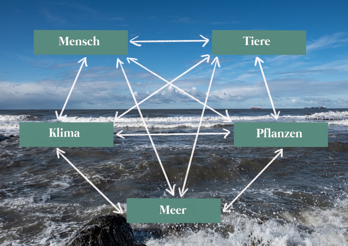 Plastik im Meer (Teil II):  Die Gefährdung des Ökosystems Meer – ein Problem doppelter Komplexität (Unterrichtsreihe für die&nbsp;Unterstufe)