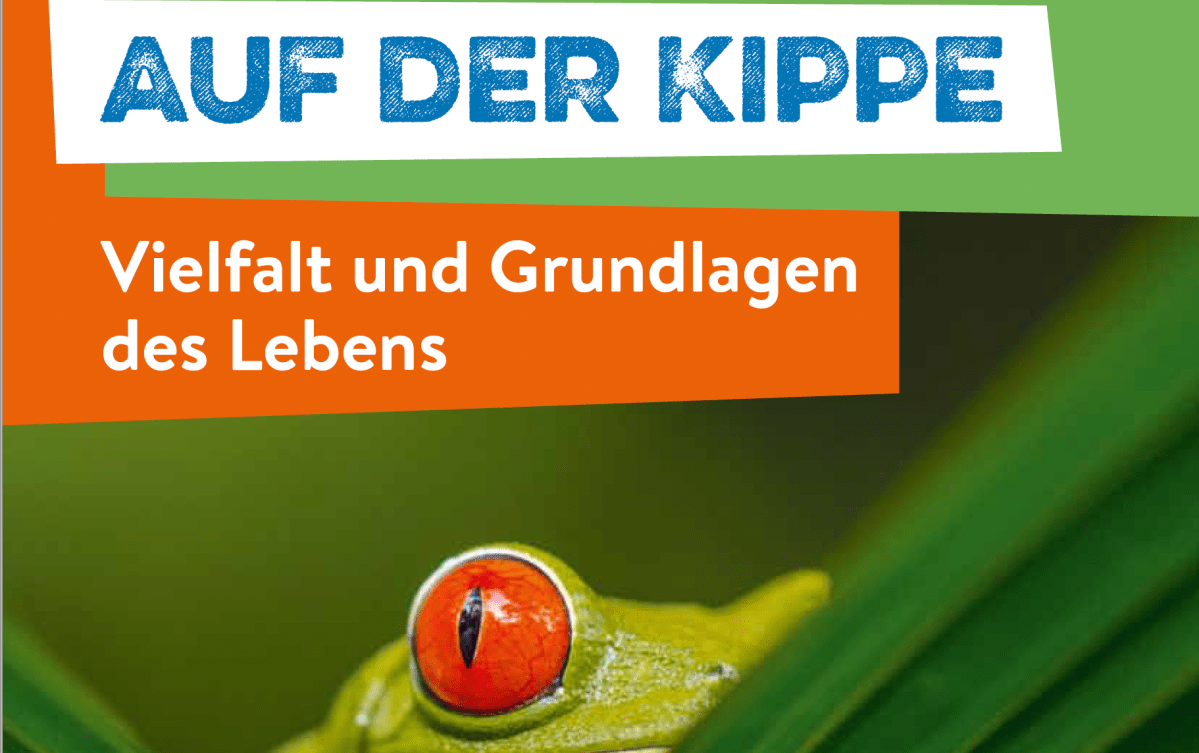 Auf der Kippe – Vielfalt und Grundlagen des&nbsp;Lebens