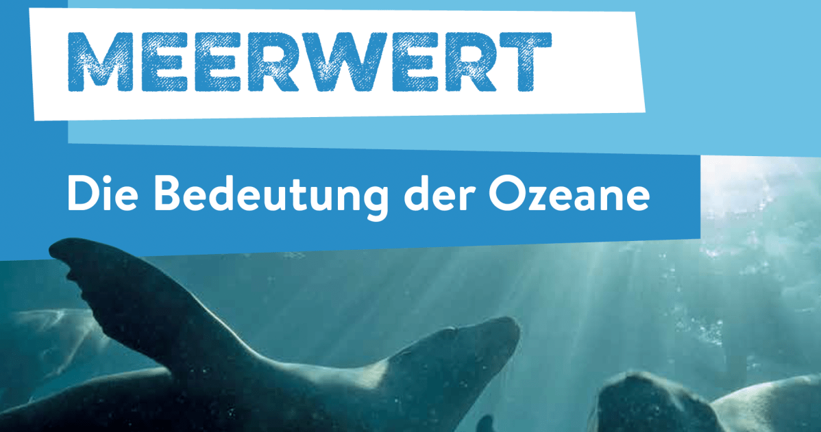 #Unterrichtsmaterial | Meerwert