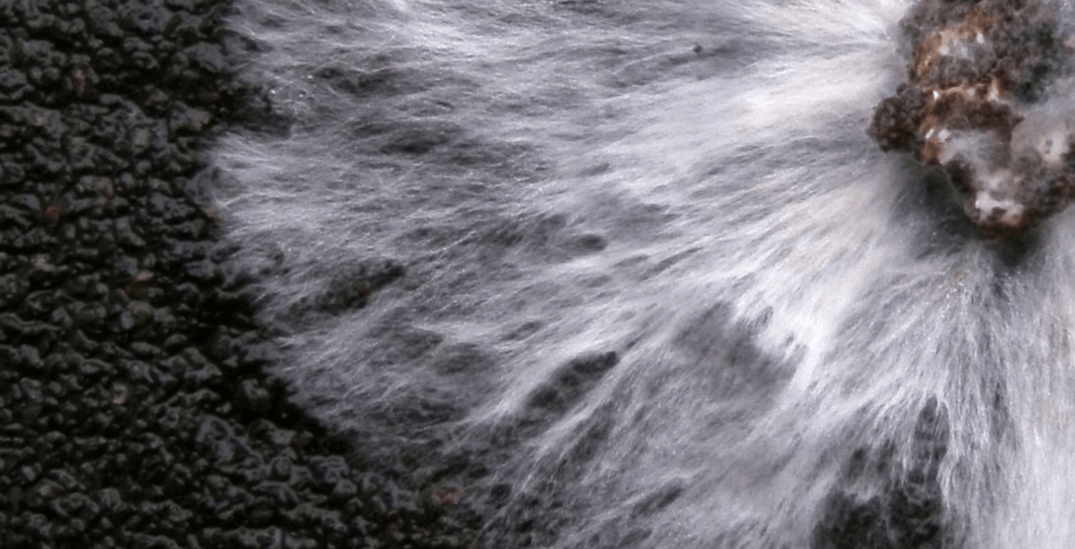 #Mystery | Warnt die KI-Branche zu Recht vor sich&nbsp;selbst?“